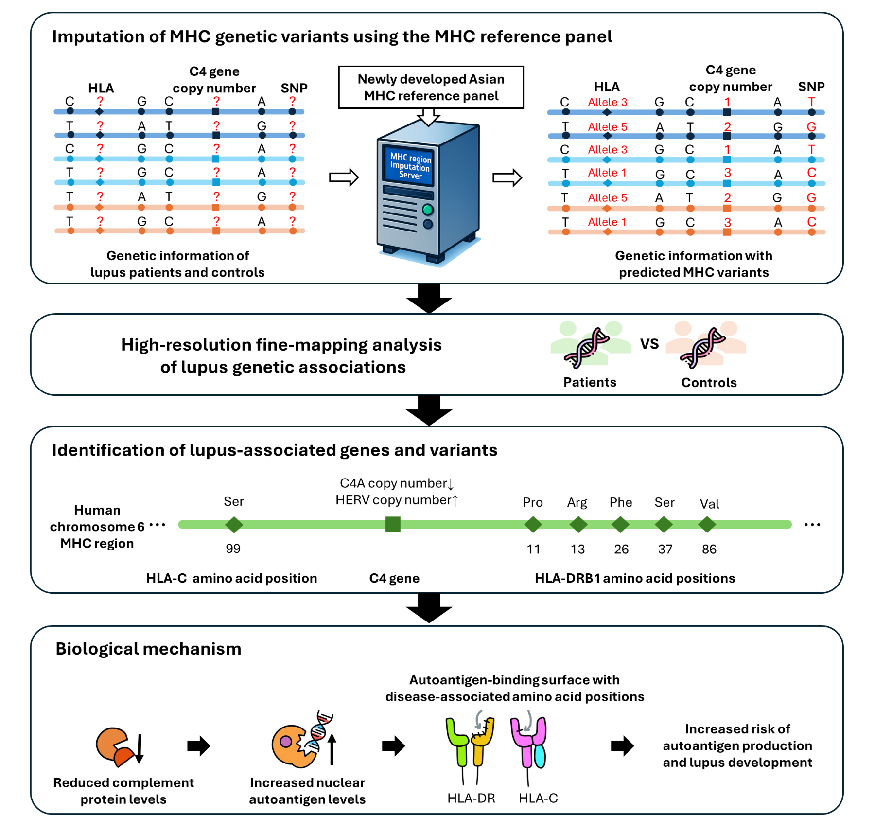 경희대학교 로고 이미지