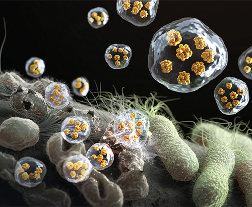 “New Way to Combat Super Bacteria: Nano-Antibiotic Mixed with Metal Ion”