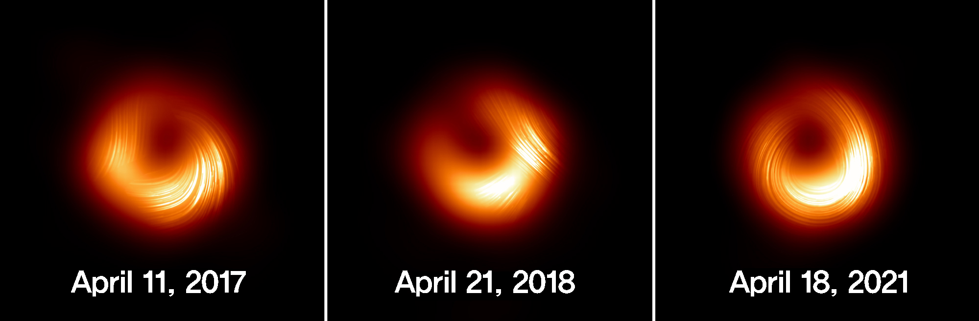 경희대학교 로고 이미지