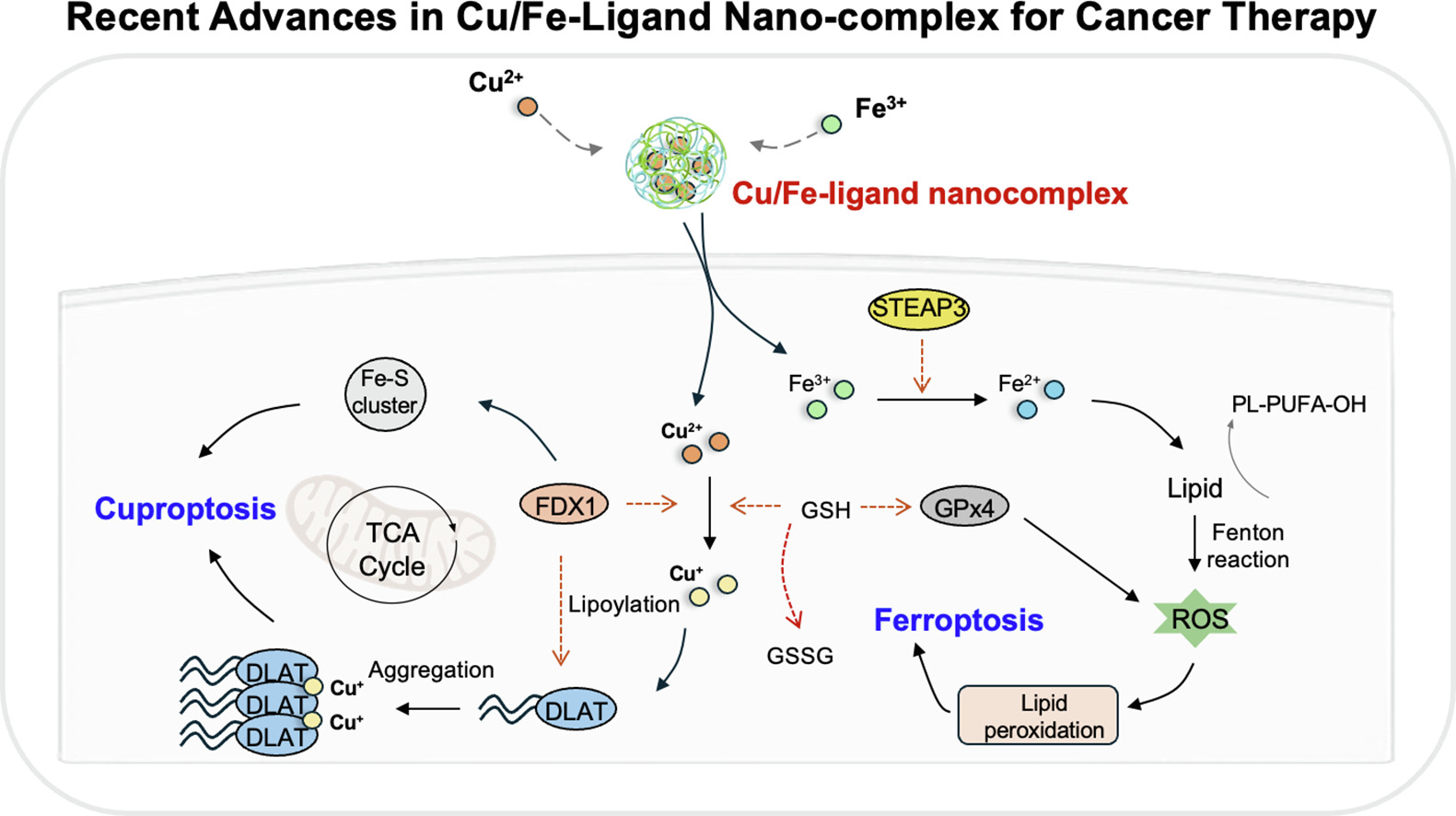 경희대학교 로고 이미지