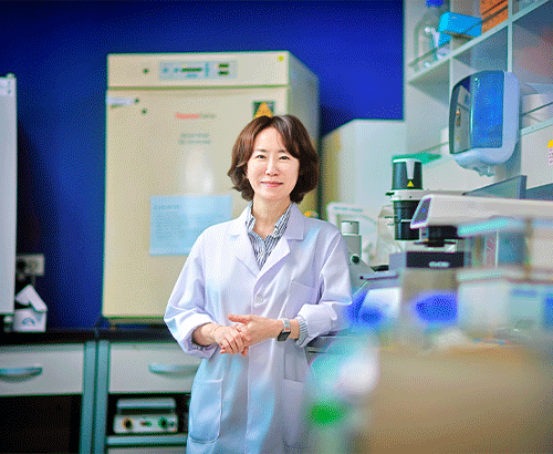 경희대학교 로고 이미지